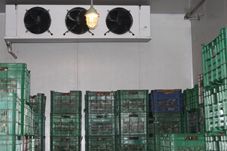 供應香蕉的貯藏保鮮技術 香蕉保鮮冷庫 香蕉催熟冷庫_暖通制冷_世界工廠網中國產品信息庫