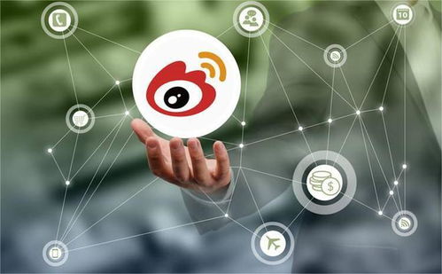 發(fā)力垂直領(lǐng)域，微博廣告業(yè)務(wù)實(shí)現(xiàn)穩(wěn)健復(fù)蘇