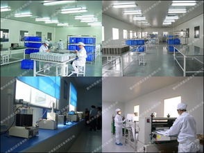 數(shù)字時(shí)代廣告業(yè)務(wù)的演進(jìn)與未來(lái)展望